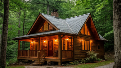 Photo of Сравнение дерева и стекла в дверях