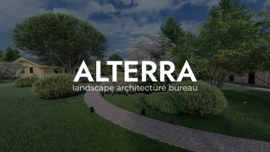 Photo of История и философия бюро Alterra